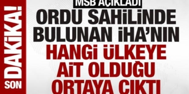 ordu-sahilinde-bulunan-ihanin-rusyaya-ait-oldugu-ortaya-cikti-rfgYLW72.jpg