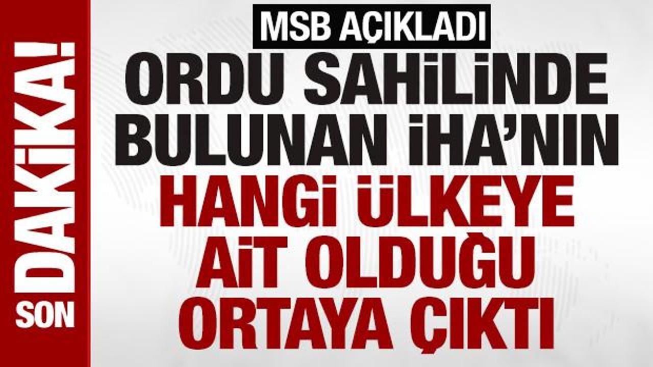 ordu-sahilinde-bulunan-ihanin-rusyaya-ait-oldugu-ortaya-cikti-rfgYLW72.jpg
