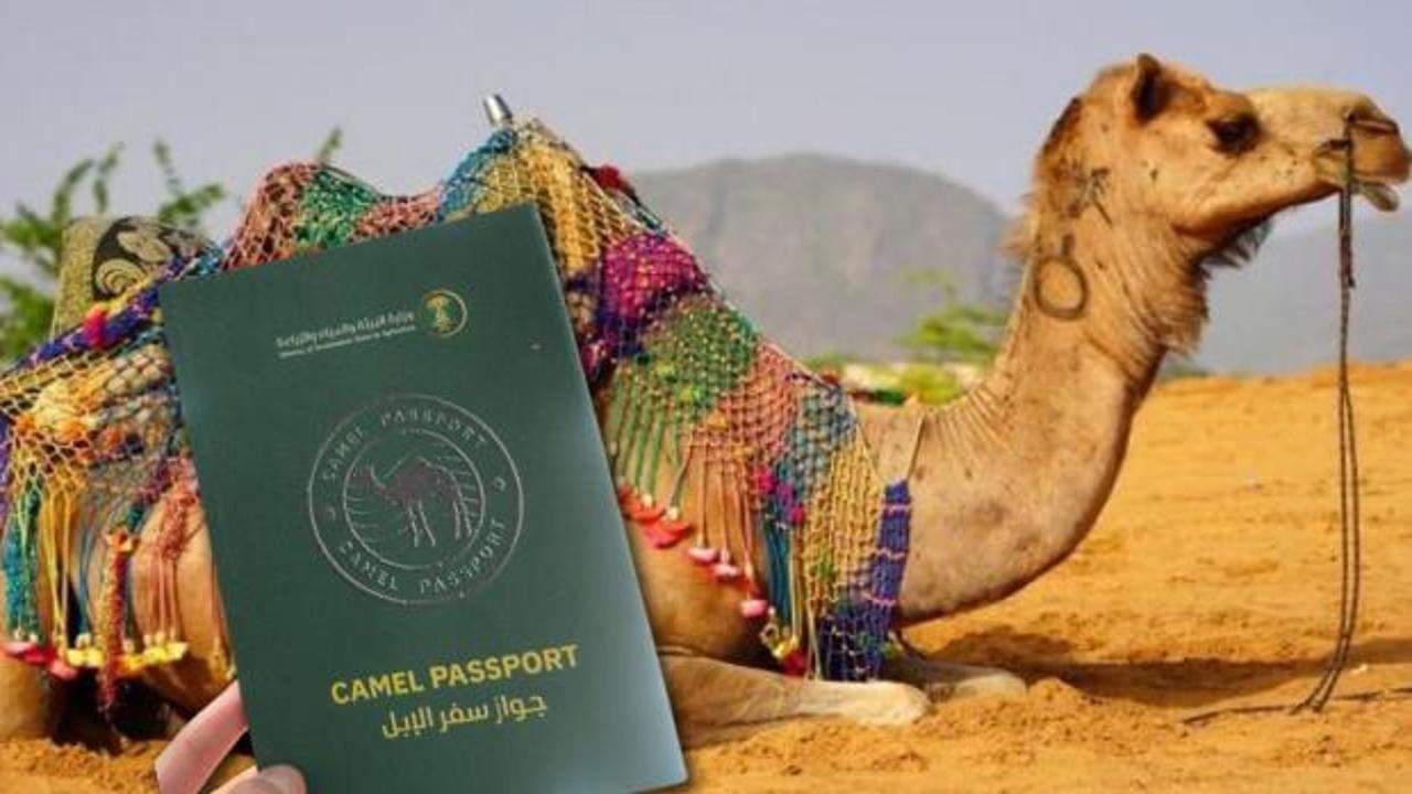 suudi-arabistan-develere-pasaport-verecek-hukumetten-yeni-duzenleme-BNOqiZIl.jpg